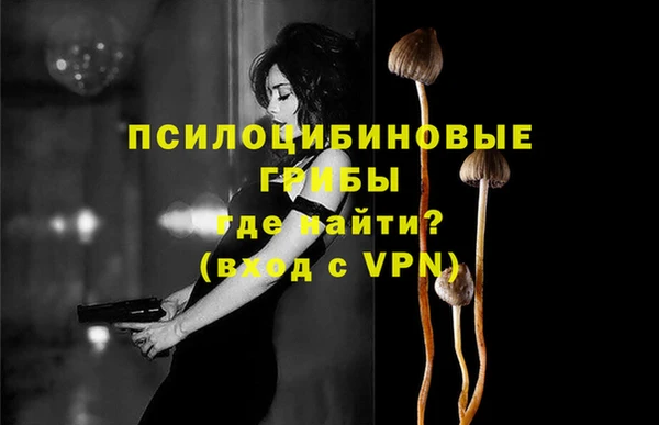 стаф Алексеевка
